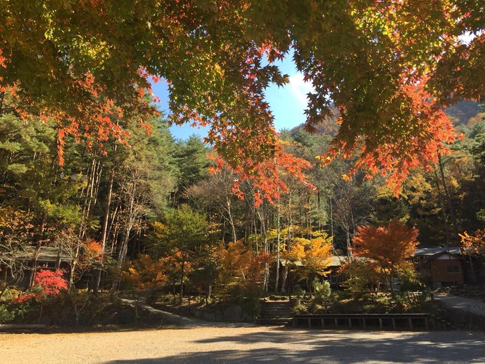 🏕️ 오사야마 오토 캠핑장 이미지 8